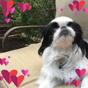 Meet your Posher, Jen